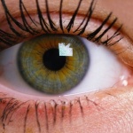 Quelles couleurs choisir pour sublimer des yeux verts ? Le guide maquillage qui fait vraiment ressortir votre regard